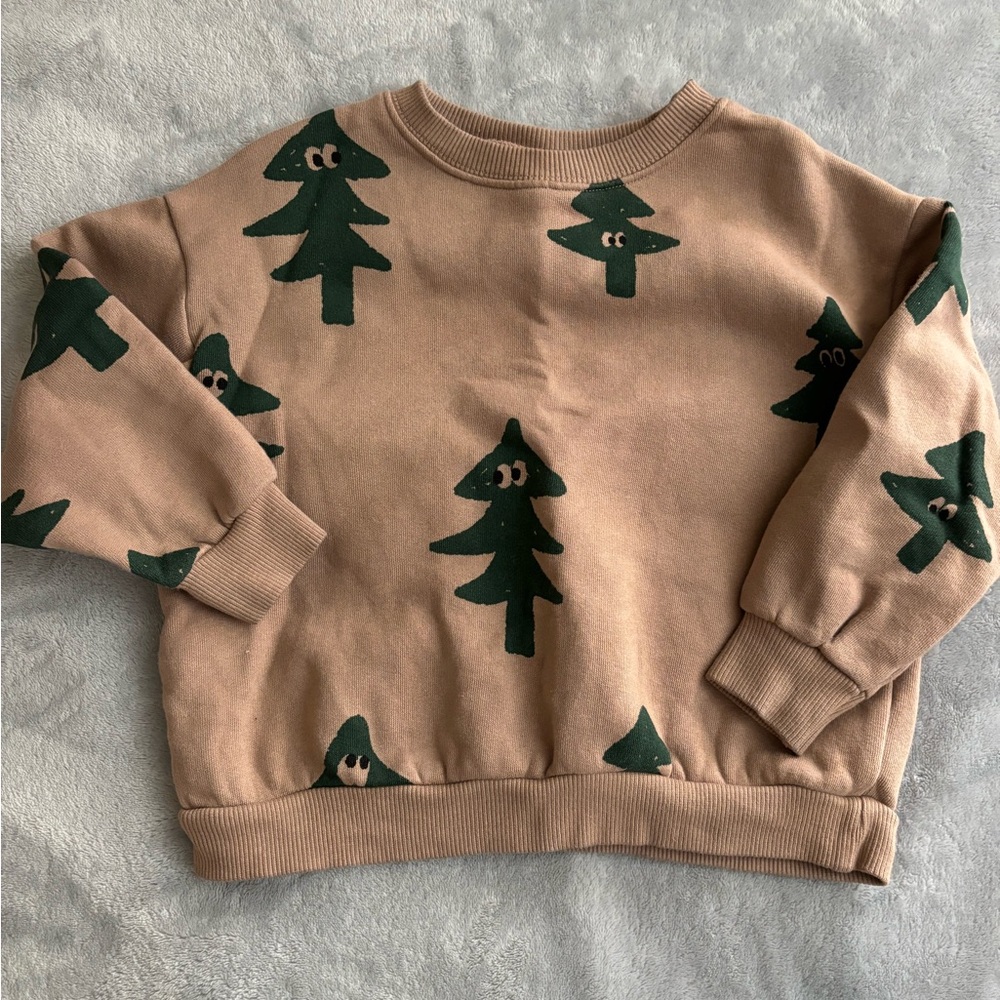 Zara Tan Sweatshirt